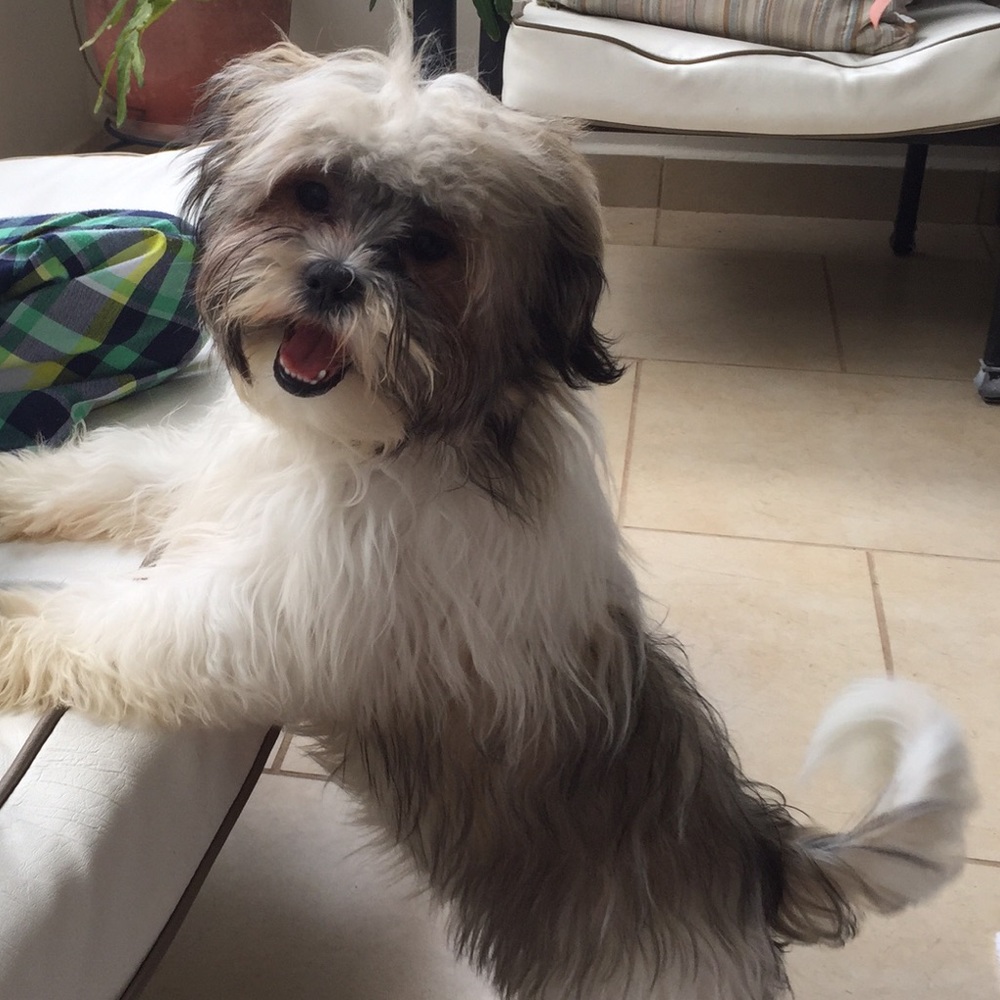 Meet your Posher, Alejandra